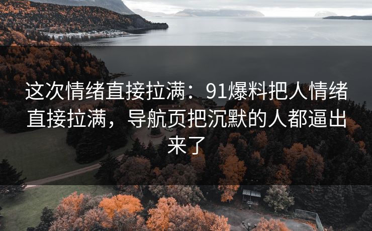 这次情绪直接拉满：91爆料把人情绪直接拉满，导航页把沉默的人都逼出来了
