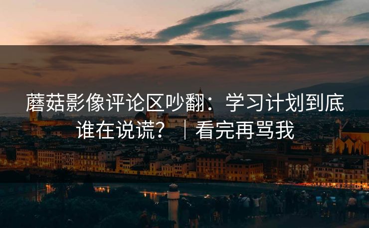 蘑菇影像评论区吵翻:学习计划到底谁在说谎?|看完再骂我 蘑菇影像评论区吵翻:学习计划到底谁在说谎?|看完再骂我